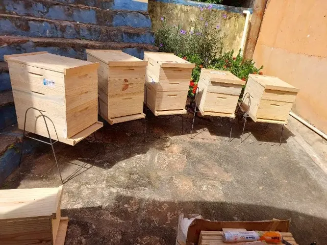 Material de apicultura 