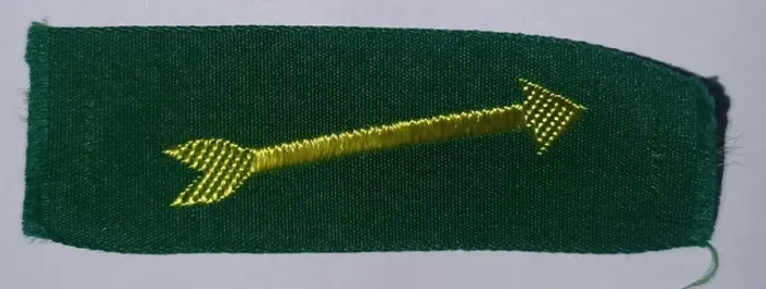 Distintivo Escoteiro Trilha Escoteira