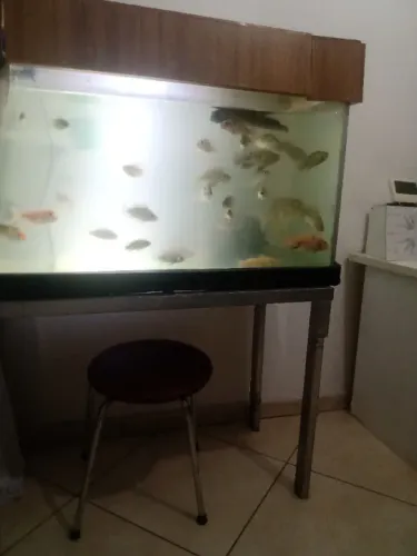 Aquário 200 litros