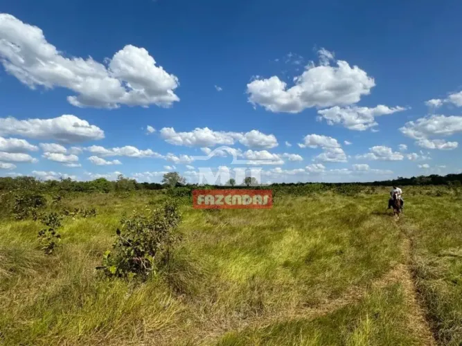 Fazenda 76 Alqueires (367,84 Hectares) Pium - TO