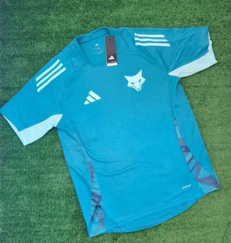 Camisa do cruzeiro treino Adidas Azul @melrysilva_mtcs