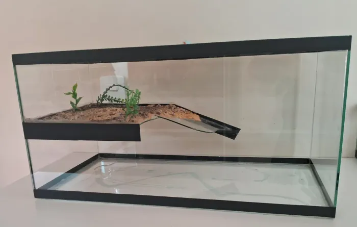 Aquaterrario 