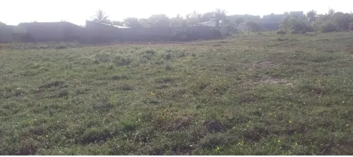 Terreno no mosqueiro escriturado