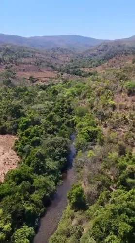 FAZENDA À VENDA - 171 HECTARES - POVOADO SÃO JOSÉ, CAVALCANTE (GO)