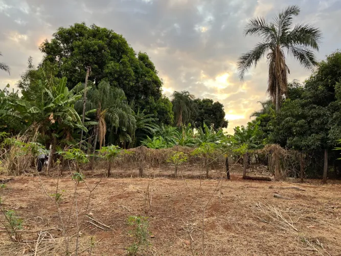 Vende se chácara próximo a avenida 31