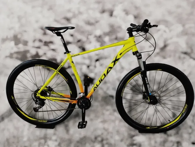 Bicicleta aro 29