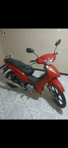 Bull
