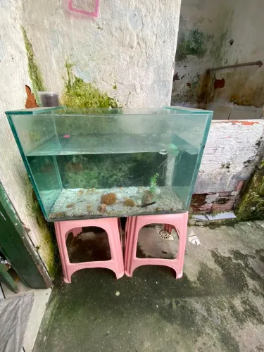 Vendo aquário em bom estado 60 centímetros de comprimento por 40 de altura
