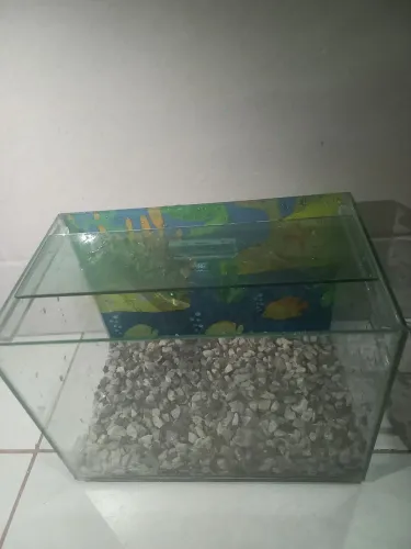 Aquário para peixes e tartarugas