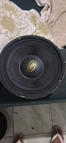 Dois medios de 10 eros peitinho 500rms