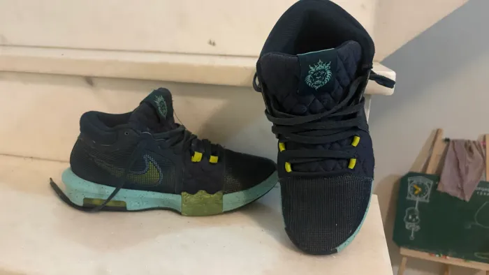 lebron witness 8
