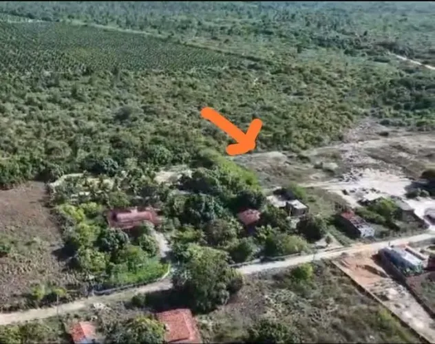 Sítio e terrenos - Macaíba
