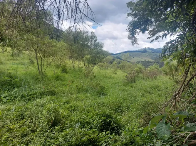 Terreno com 49.000m², formado em pastagens, mata, em Camanducaia MG