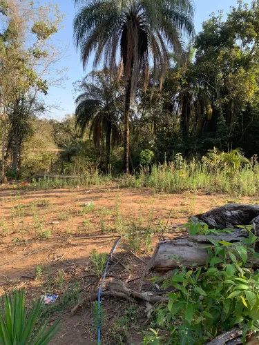 vendo chácara em Itauna município dos angicos 