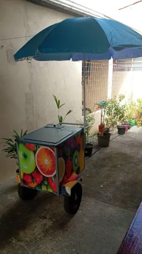 Carrinho térmico 