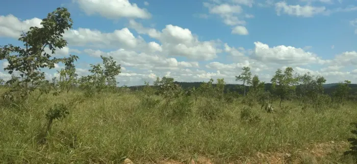 Imóvel para venda possui 20000 metros quadrados em Zona Rural - Cordisburgo - MG