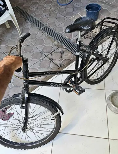 Bicicleta