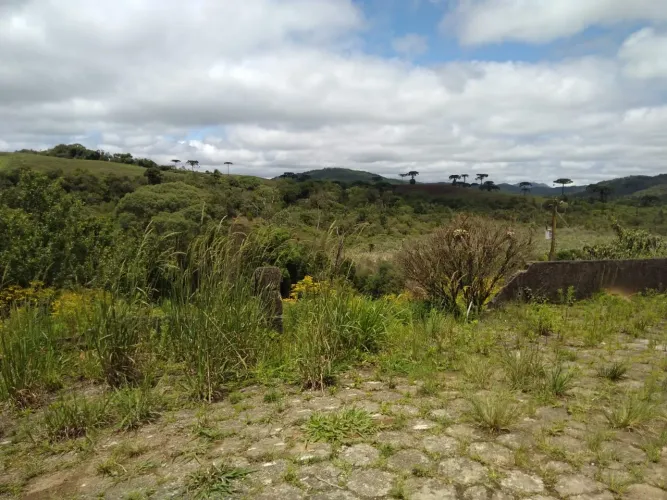 Fazenda de 2 quartos à venda em Guapiara-SP, Zona Rural: 2.420.000 m² de área pronto para