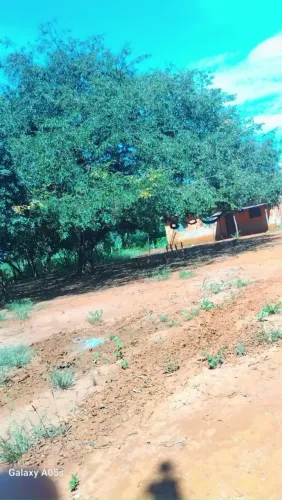 SÍTIO P.A BOA ESPERANÇA BURITIS MG