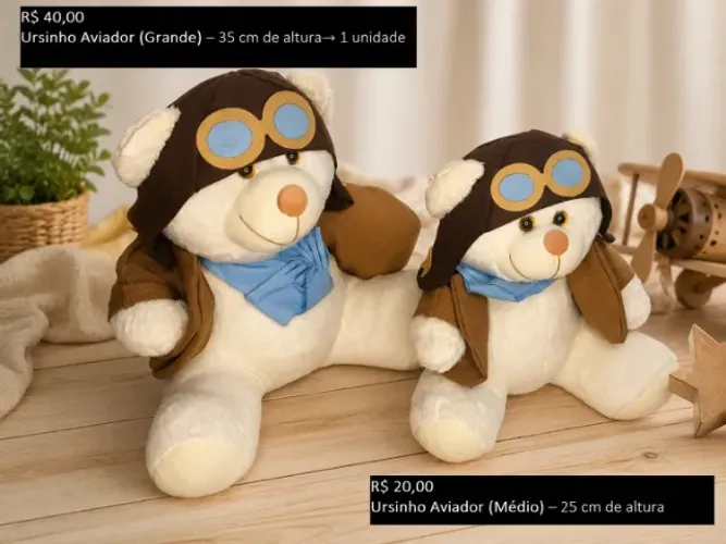Ursinho Aviador