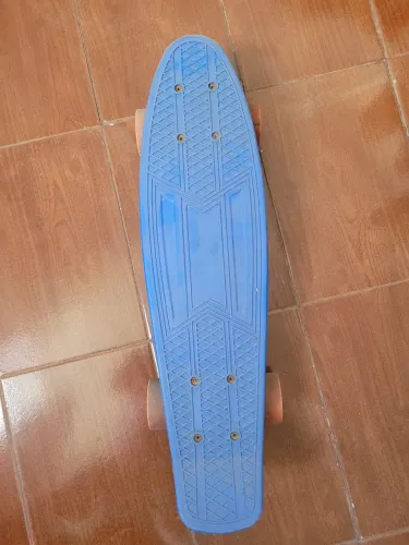 Skate mini longbord