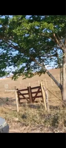 Chácara Bonfim