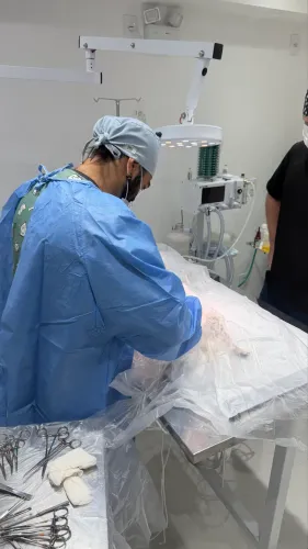 Clínica Veterinária Completa à Venda - Blumenau/SC | Pronta para Trabalhar 