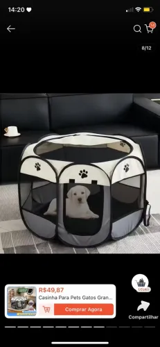 casa de pet 