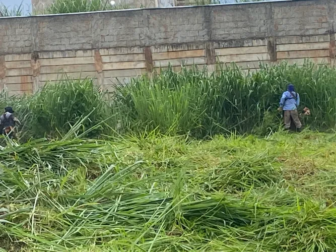Rocagem terreno E chácara tbm pequenas podas de arvore zap *