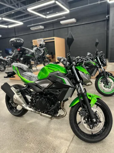 Z500