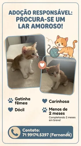 Adoção responsável 