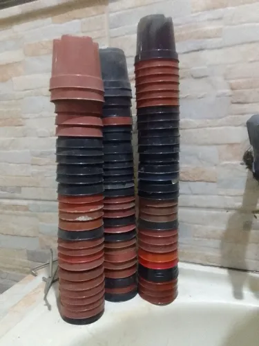 89 Vasinhos de Mudinhas. 