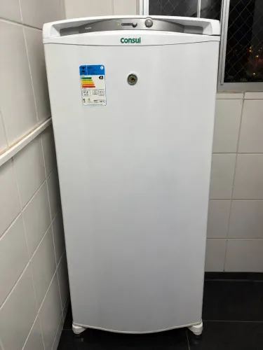 Freezer 231 Litros