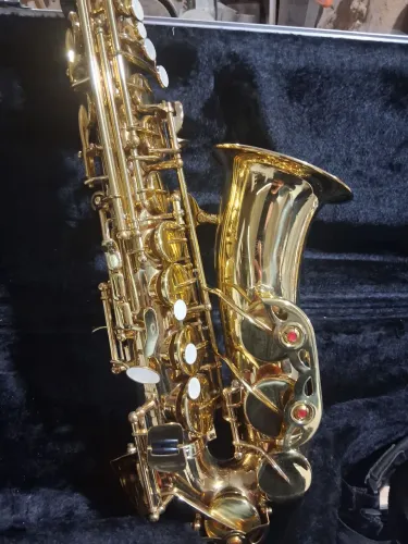 Sax alto shelter ( ótimo estado )
