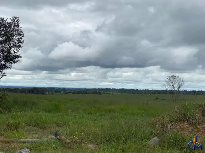 Fazenda no Cone Sul de Rondonia