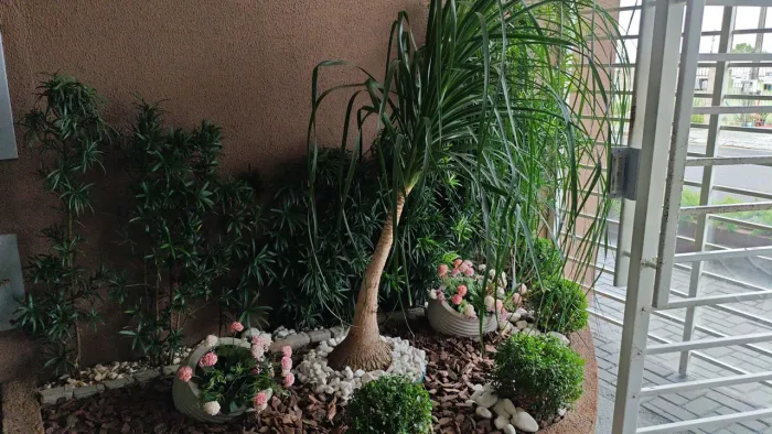 Jardinagem luft fazemos tudo no seu jardim ligue e peça seu orçamento sem compromisso