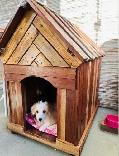 Casa de madeira para cachorro 
