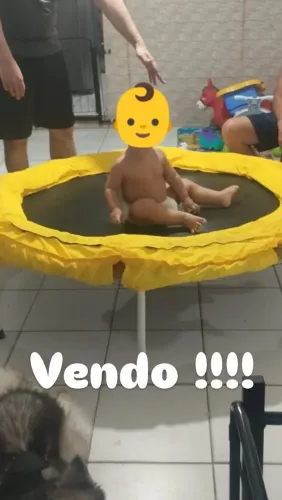 Cama elástica/Pula-Pula, Carrinho, Andaja