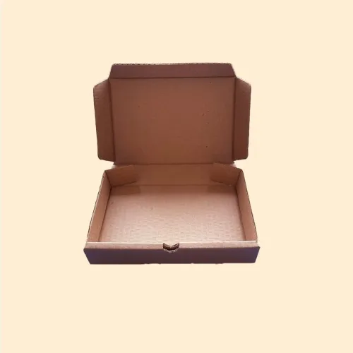 Caixas de papelão maleta 10 unidades 16x11x3