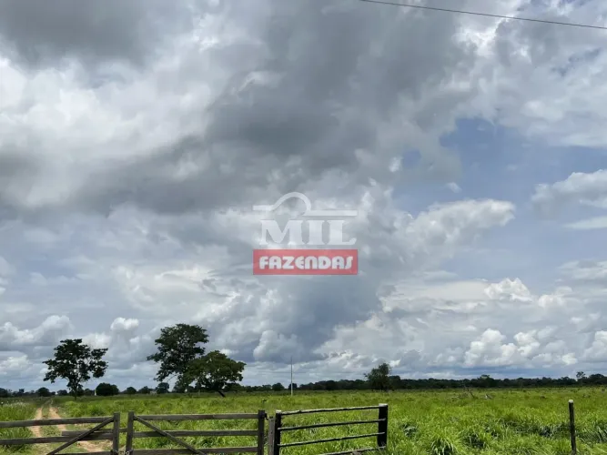 Fazenda de 450 alqueires (2.178 hectares) no Cocalinho - Mato Grosso