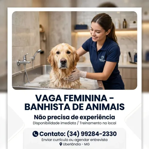 Vaga de emprego - vaga feminina