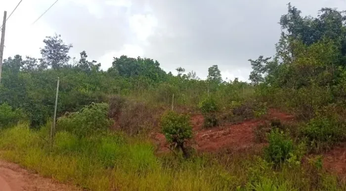 Lote Melo Viana ( Esmeraldas)