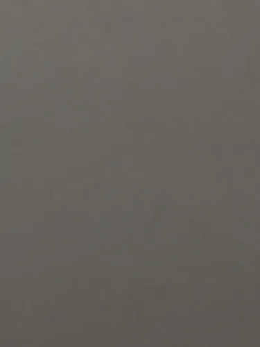 Doméstica