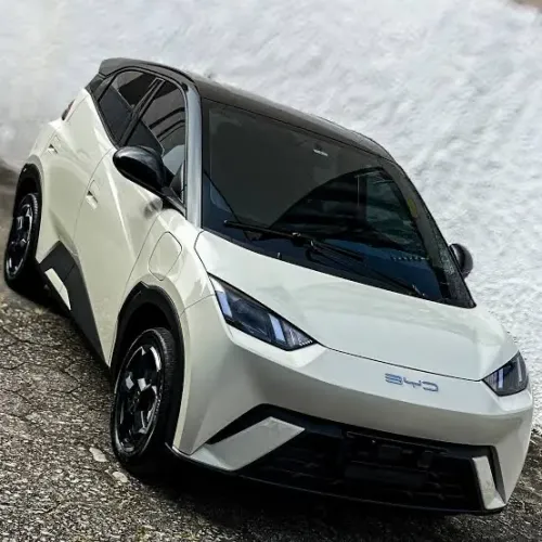 BYD Dolphin Mini (Elétrico) 2025