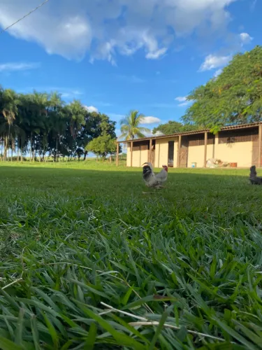Contrata se tratador para rancho 