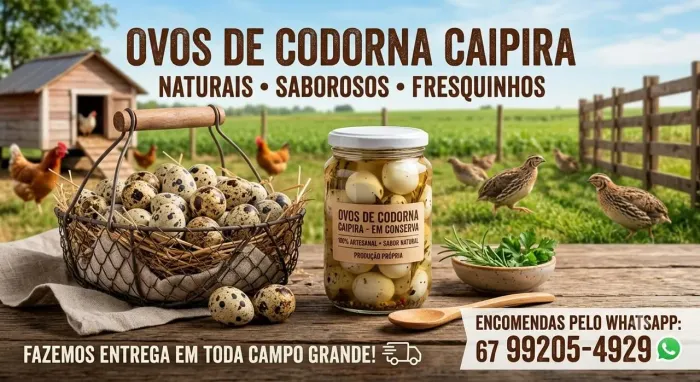 Ovos de codorna