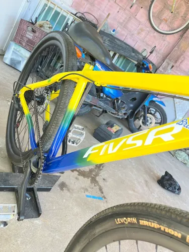 bicicleta 29