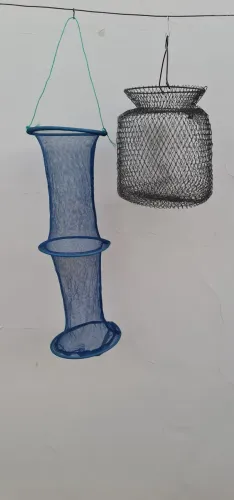 Dois samburás para pesca