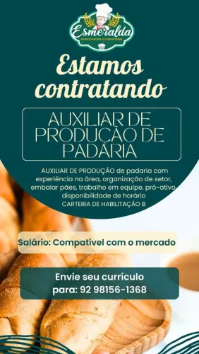 AUXILIAR DE PRODUÇÃO / MOTORISTA 