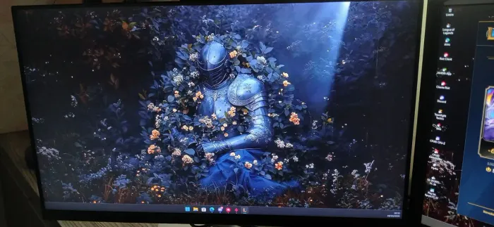 Monitor Dell Original